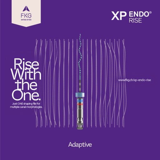 XP-Endo Çözümleri