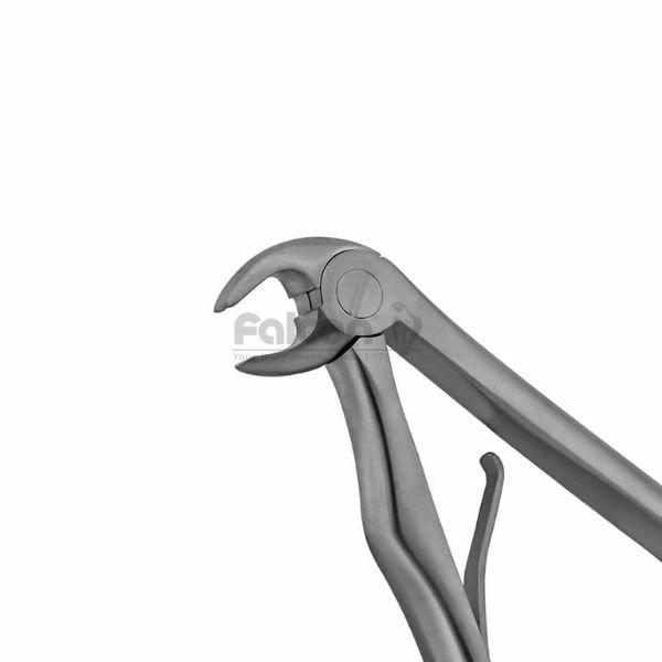 Çocuk Davye - Alt Kök