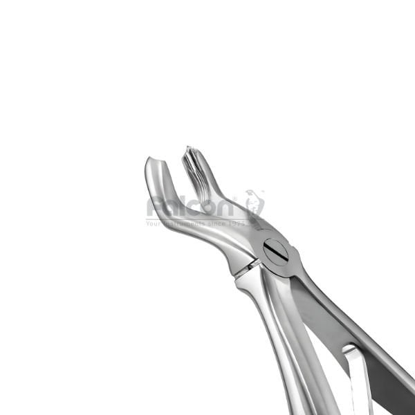 Çocuk Davye - Üst Molar