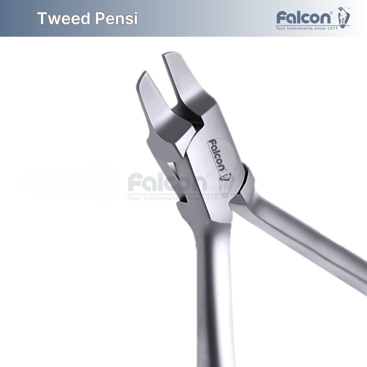 Tweed Pensi
