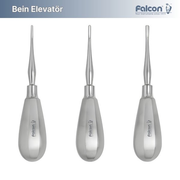 Bein Elevatör