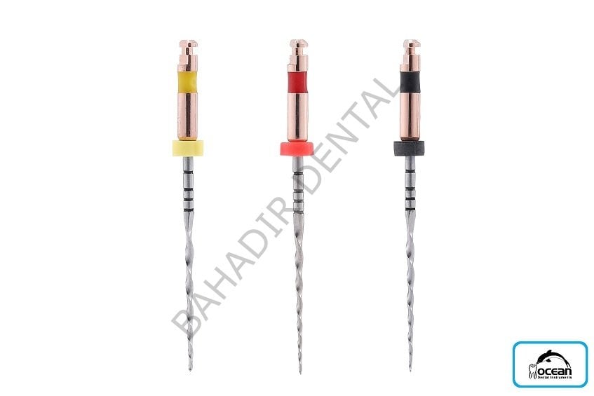 Kanal Eğesi Endomotor İçin Recip One Files