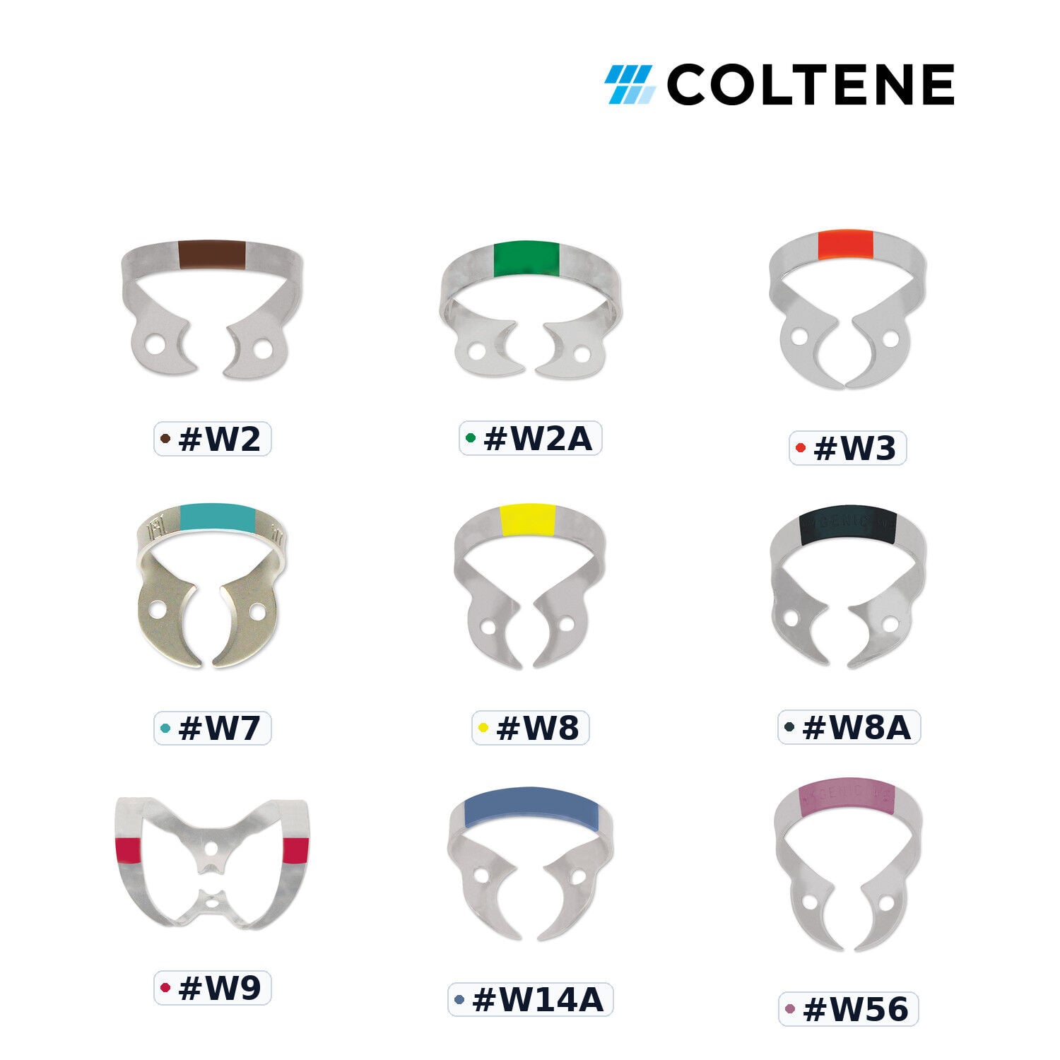 Coltene Fiesta Kanatsız Rubber Dam Klempi — renk kodlu numara seçenekleri