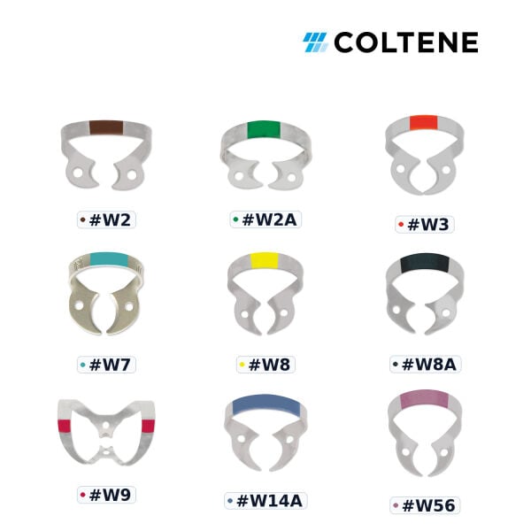 Coltene Fiesta Kanatsız Rubber Dam Klempi — renk kodlu numara seçenekleri