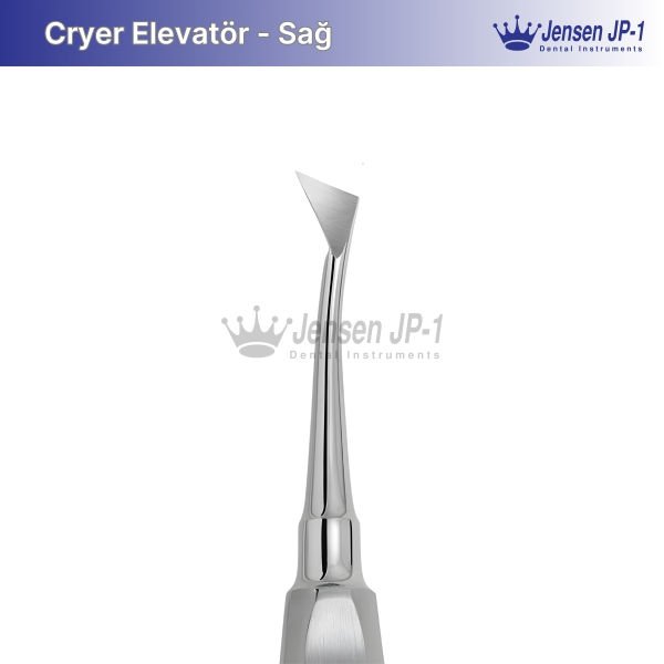 Cryer Elevatör Sağ