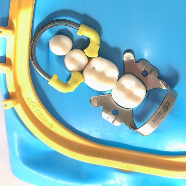 Cotisen Ni-Ti Yüzük V3