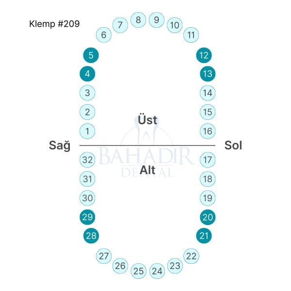 Rubber Dam Klemp #209 Premolar