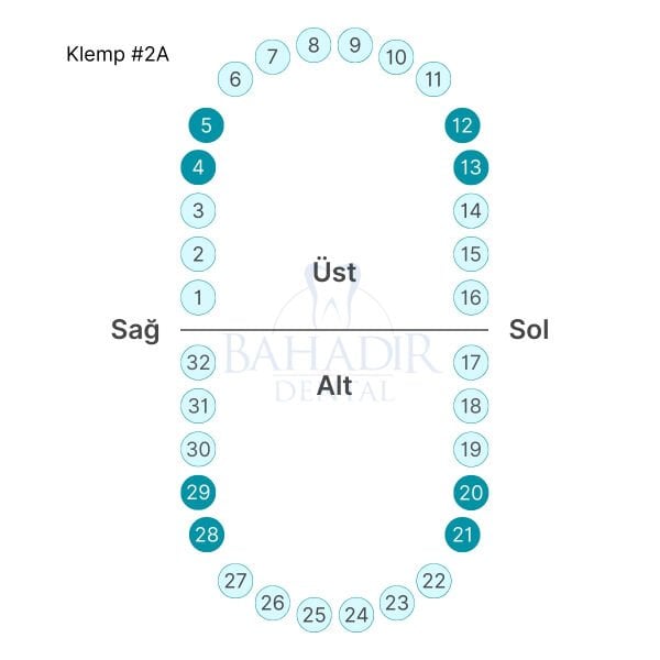 Rubber Dam Klemp #2A Premolar