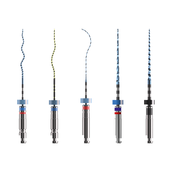 Endodonti