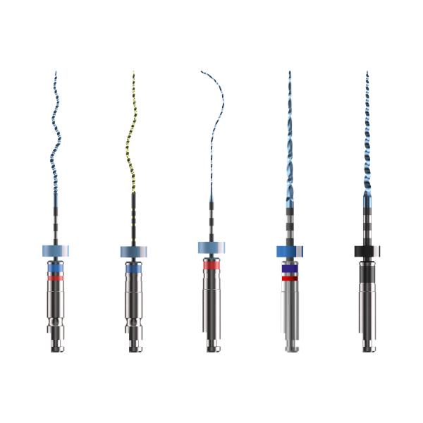 Endodonti