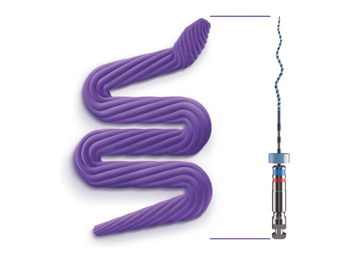 XP-endo Rise